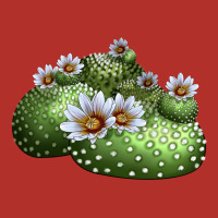 Blossfeldia Cactus Premium Hoodie | Teevron