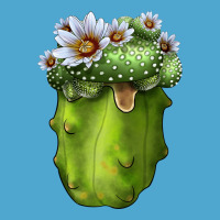 Blossfeldia Cacti Premium Hoodie | Teevron