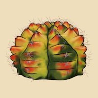 Gymnocalycium Variegated Cactus Premium Hoodie | Teevron