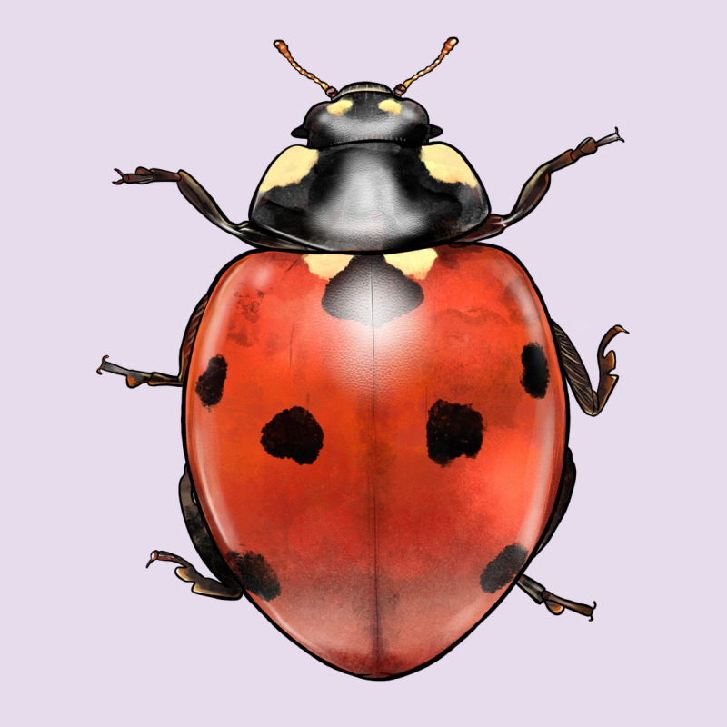 Lady Bug Premium Hoodie by LillyAllenDesigns | Teevron