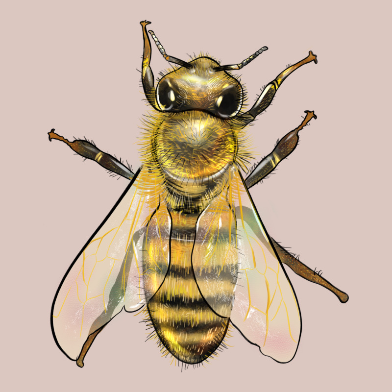 Bee Premium Hoodie by LillyAllenDesigns | Teevron