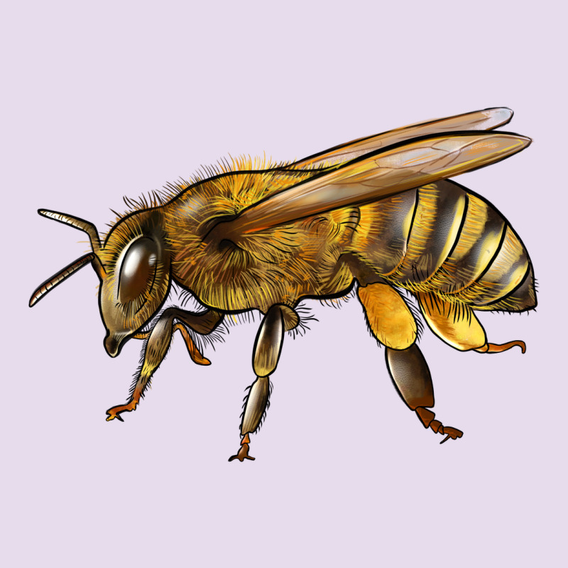 Bee Side Premium Hoodie by LillyAllenDesigns | Teevron