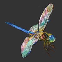 Dragon Fly | Teevron
