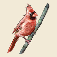 Northern Cardinal Bird Premium Hoodie | Teevron