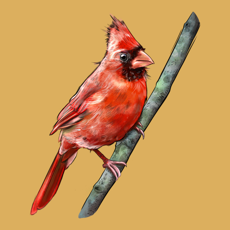 Northern Cardinal Bird Premium Hoodie by LillyAllenDesigns | Teevron