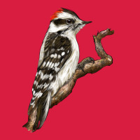 Downy Woodpecker Premium Hoodie | Teevron