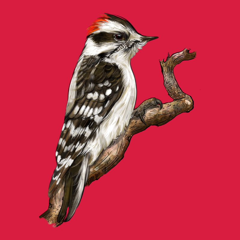Downy Woodpecker Premium Hoodie by LillyAllenDesigns | Teevron