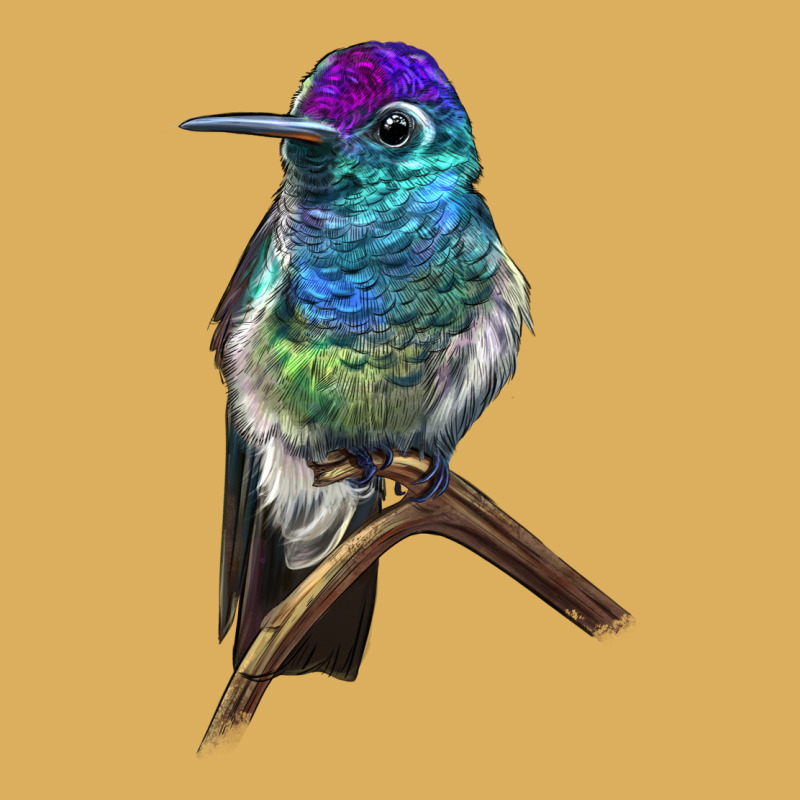 Rivoli`s Hummingbird Premium Hoodie by LillyAllenDesigns | Teevron