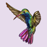 Broad Billed Hummingbird Premium Hoodie | Teevron