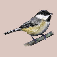 Black Capped Chickadee Premium Hoodie | Teevron