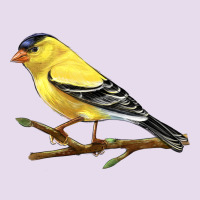 American Goldfinch Premium Hoodie | Teevron