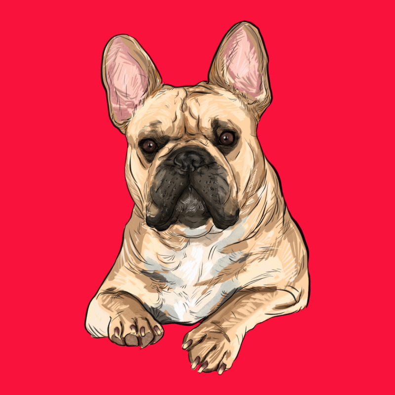French Bulldog Sitting Classic Tee by RanaPortraitStore | Teevron
