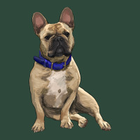 French Bulldog With Royal Blue Zipper Hoodie | Teevron