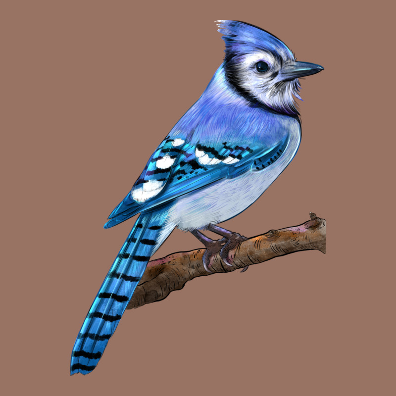 Blue Jay Bird Premium Hoodie by LillyAllenDesigns | Teevron