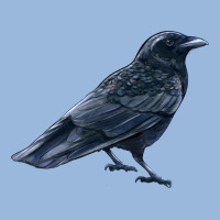 American Crow Premium Hoodie | Teevron