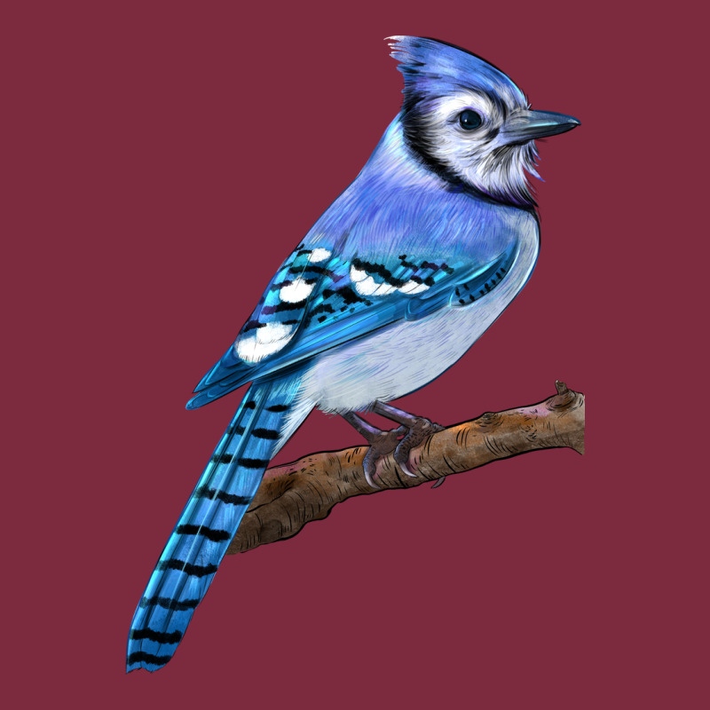 Blue Jay Bird Premium Hoodie by LillyAllenDesigns | Teevron