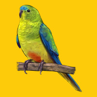 Neophema Parrot Premium Hoodie | Teevron
