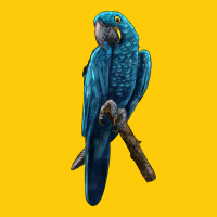 Hyacinth Macaw Premium Hoodie | Teevron