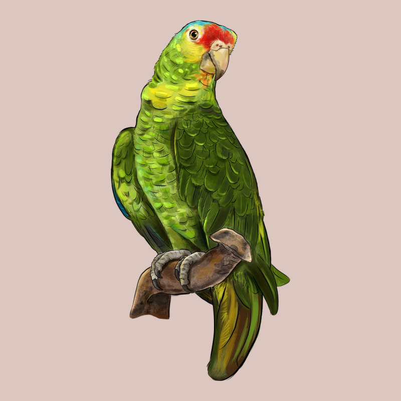 New Zealand Paraket Parrot Premium Hoodie by LillyAllenDesigns | Teevron