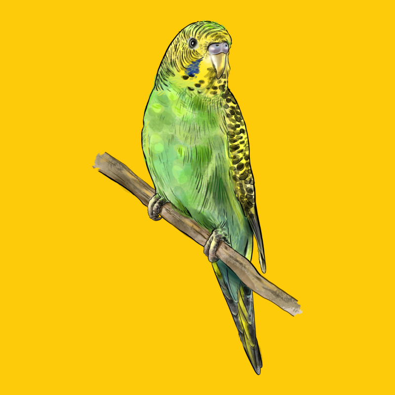 Budgeriar Bird Parrot Premium Hoodie by LillyAllenDesigns | Teevron