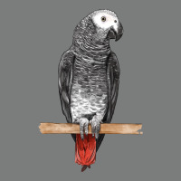 African Gray Parrot Bird Premium Hoodie | Teevron