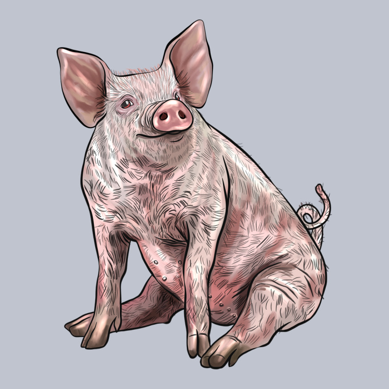 American Yorkshire Pig Premium Hoodie by LillyAllenDesigns | Teevron