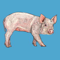 American Yorkshire Pig  Baby Premium Hoodie | Teevron