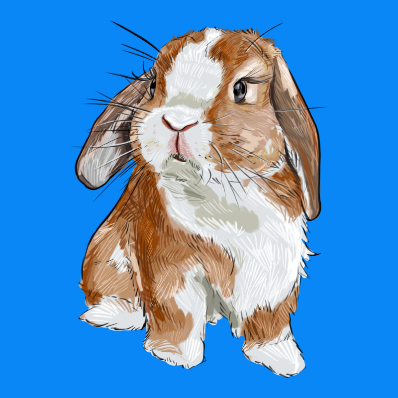 Cute Bunny Zipper Hoodie by RanaPortraitStore | Teevron