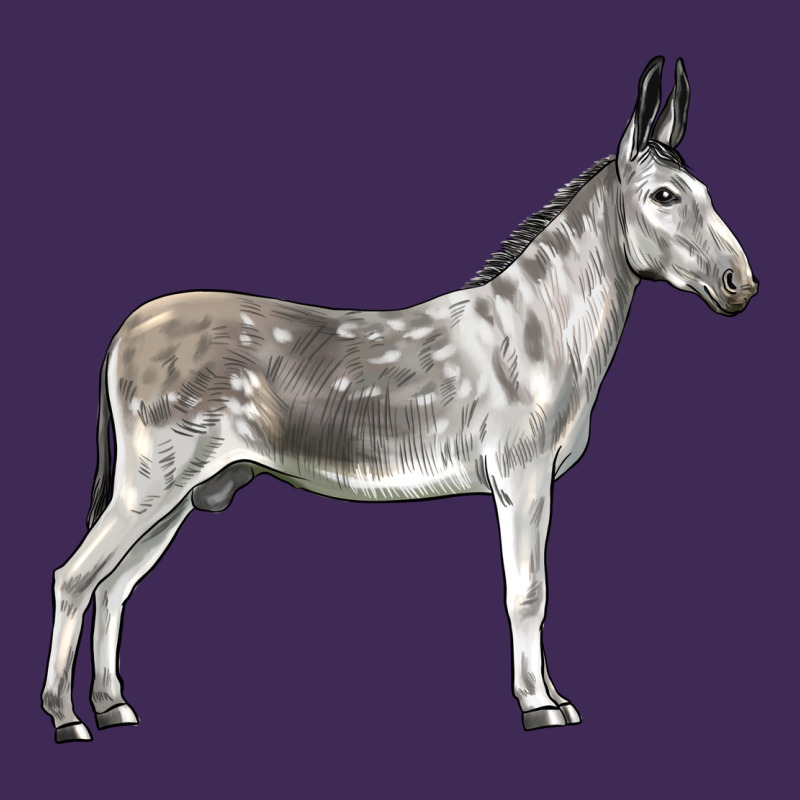 Andalusian Donkey Premium Hoodie by LillyAllenDesigns | Teevron