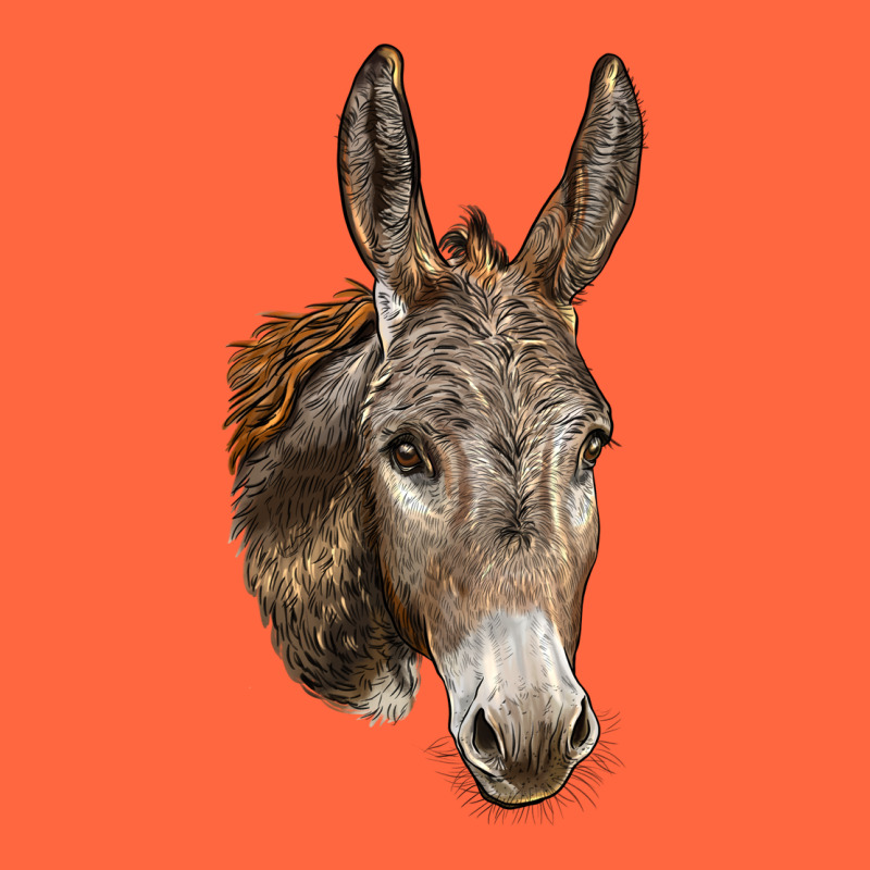Andalusian Donkey Face Premium Hoodie by LillyAllenDesigns | Teevron