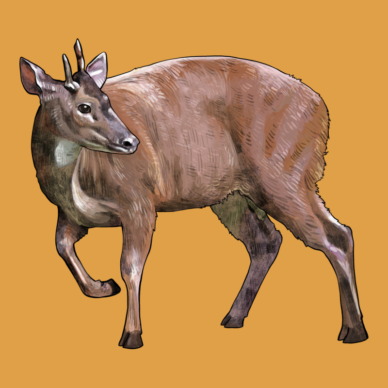 Red Brocket Buck Deer Premium Hoodie by LillyAllenDesigns | Teevron