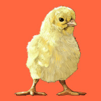 Chick Premium Hoodie | Teevron