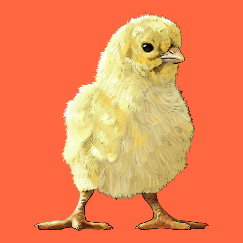Chick Premium Hoodie by LillyAllenDesigns | Teevron