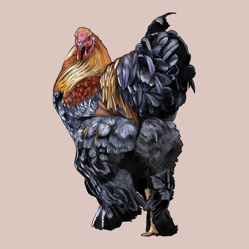 Brahma Rooster Premium Hoodie by LillyAllenDesigns | Teevron