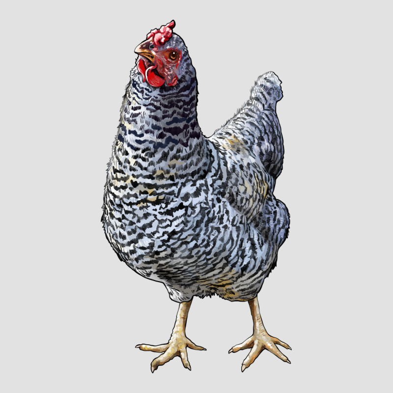 Dominique Chicken Premium Hoodie by LillyAllenDesigns | Teevron
