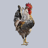 Cream Legbar Rooster Premium Hoodie | Teevron