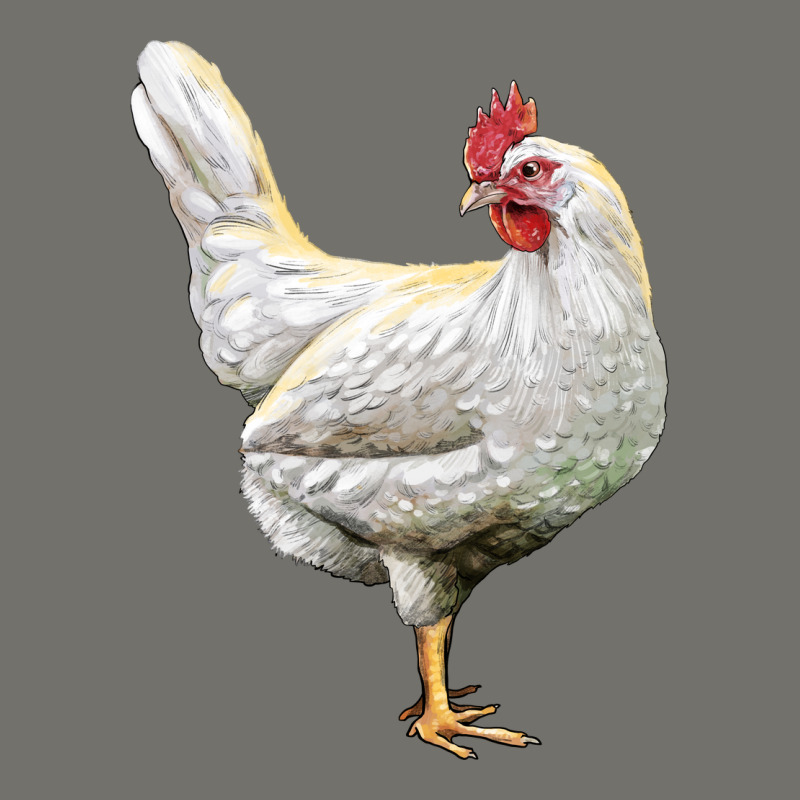 Leghorn Chicken Premium Hoodie by LillyAllenDesigns | Teevron