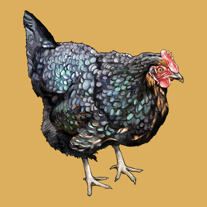 Jersey Giant Chicken Premium Hoodie by LillyAllenDesigns | Teevron