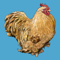 Cochin Rooster Premium Hoodie | Teevron
