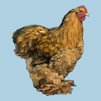 Cochin Chicken Premium Hoodie | Teevron