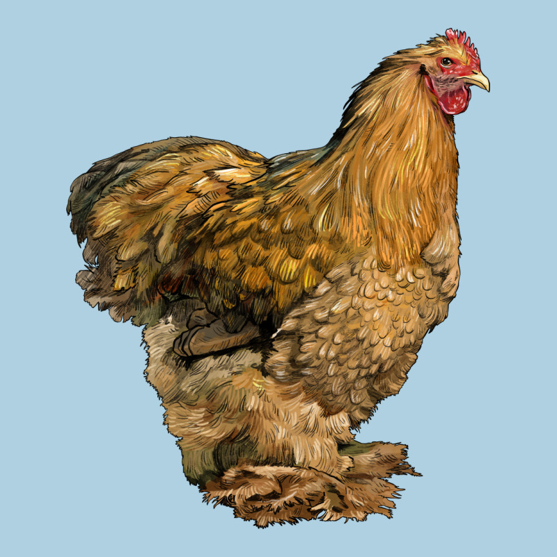 Cochin Chicken Premium Hoodie by LillyAllenDesigns | Teevron