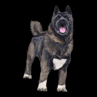American Akita Long Sleeve Tee | Teevron
