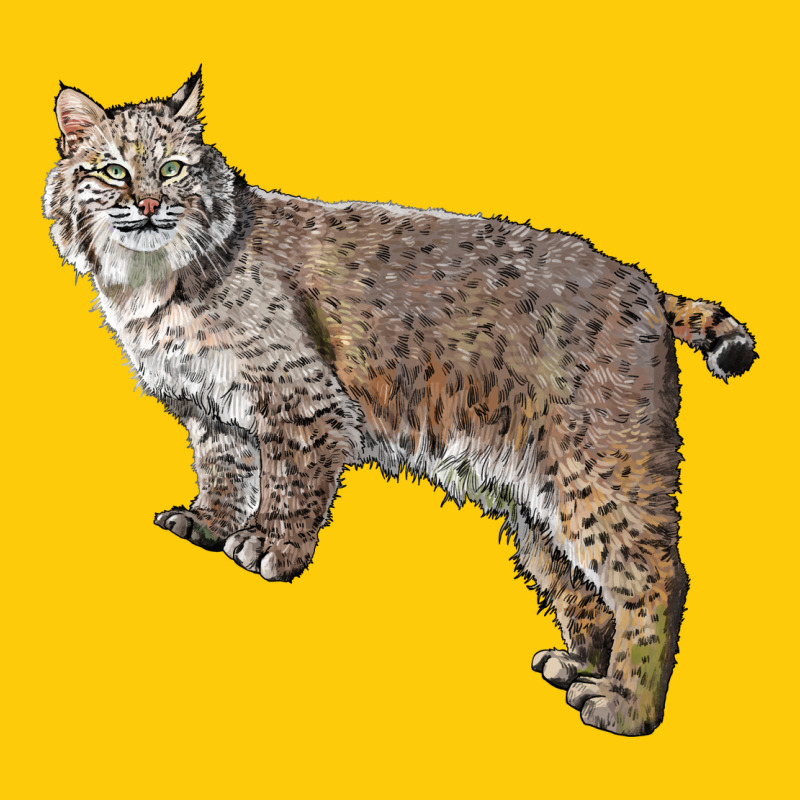 Bobcat Premium Hoodie by LillyAllenDesigns | Teevron
