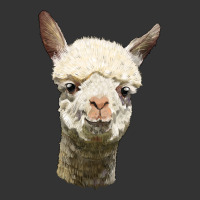 Alpaca Head | Teevron