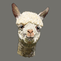 Alpaca Head Premium Hoodie | Teevron