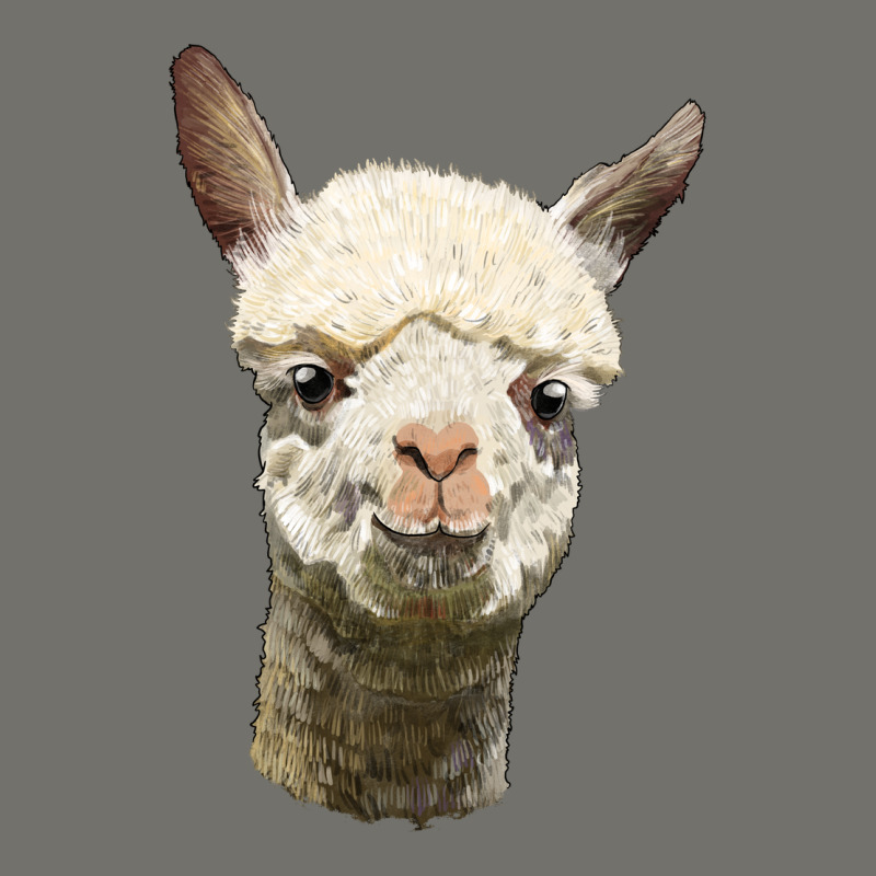 Alpaca Head Premium Hoodie by LillyAllenDesigns | Teevron