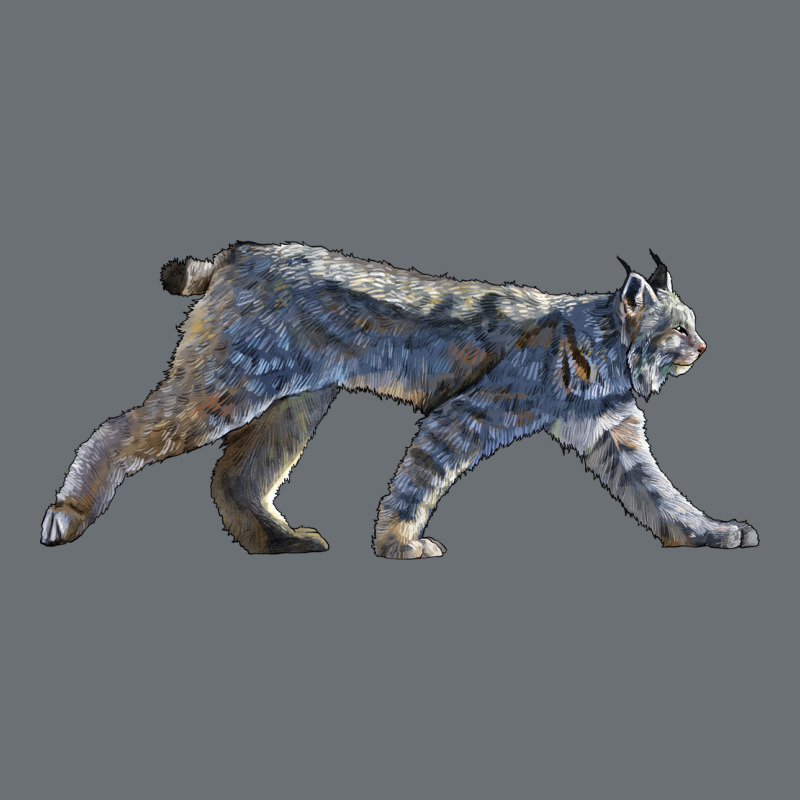Canada Lynx Premium Hoodie by LillyAllenDesigns | Teevron