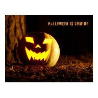 Halloween Is Coming | Teevron