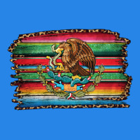 Serape Leopard Mexican Flag Premium Hoodie | Teevron