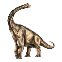 Brachiosaurus | Teevron